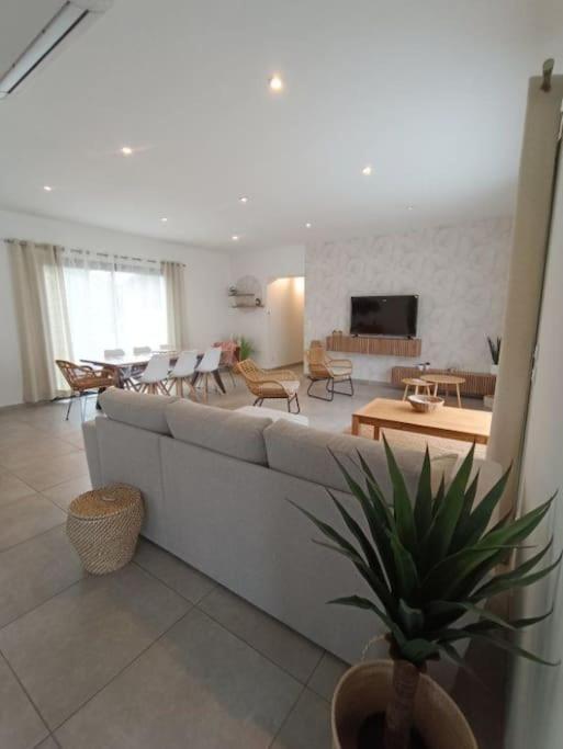 Villa Des Rives Du Tarn Avec Jacuzzi Montans Esterno foto