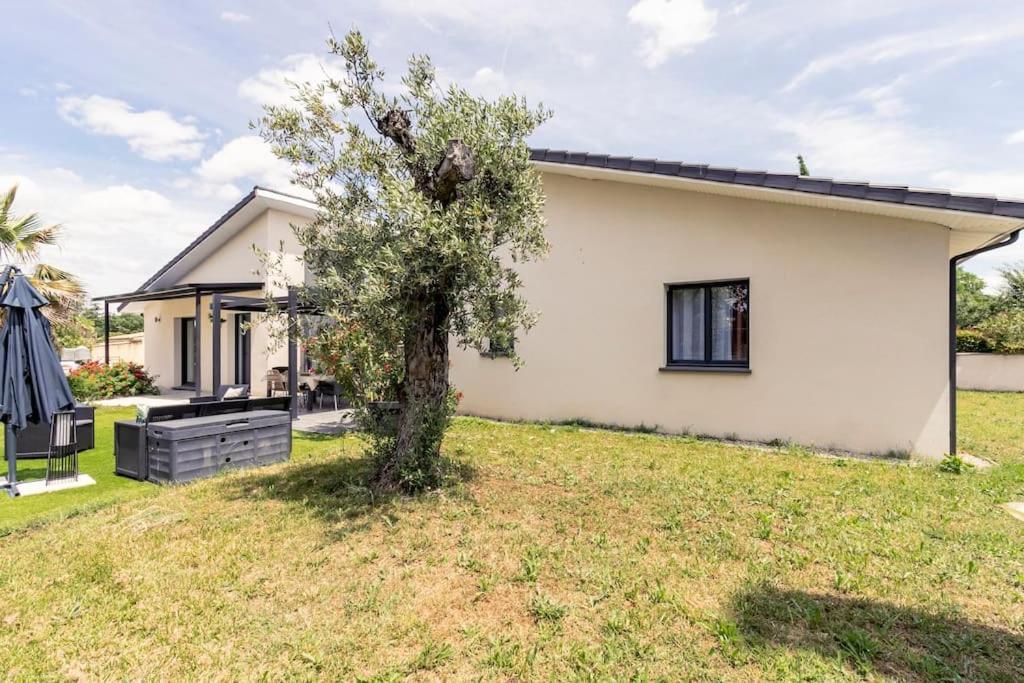 Villa Des Rives Du Tarn Avec Jacuzzi Montans Esterno foto